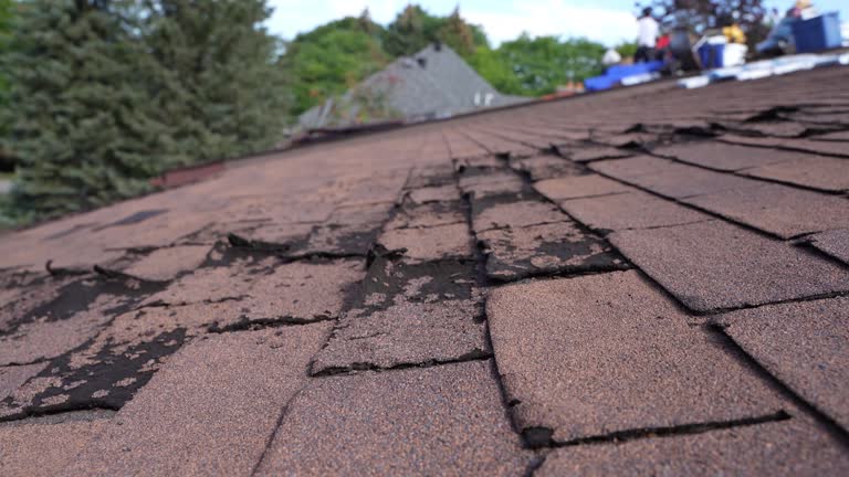 Best Gutter Installation and Repair  in East Lansing, MI