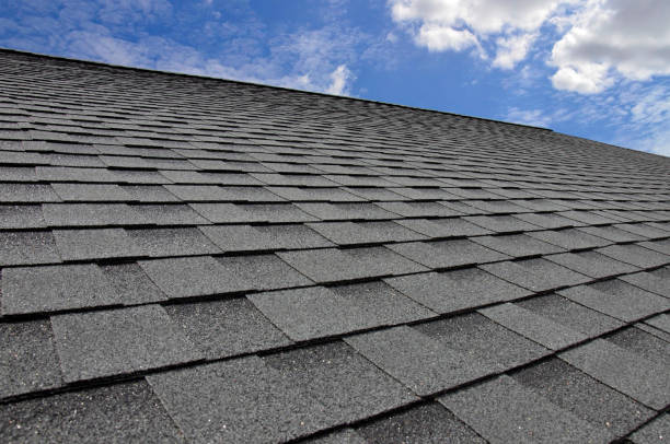 Best Roof Maintenance and Cleaning  in East Lansing, MI