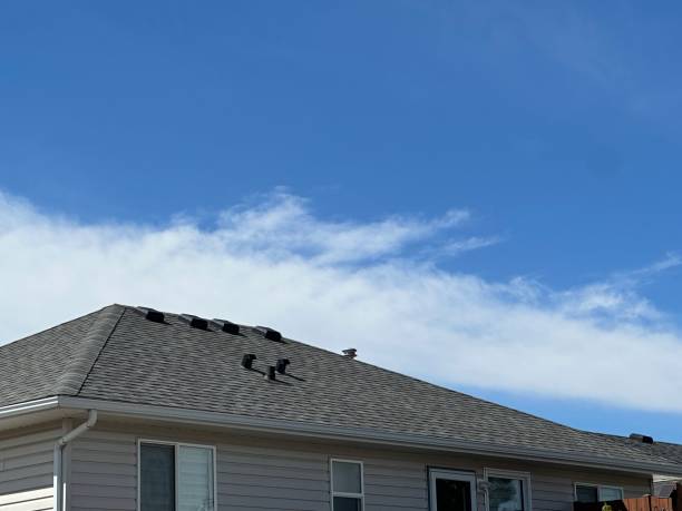 Best Wood Shake Roofing  in East Lansing, MI